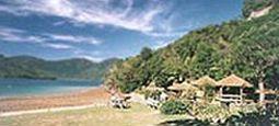 Resort Punga Cove