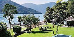Punga Cove