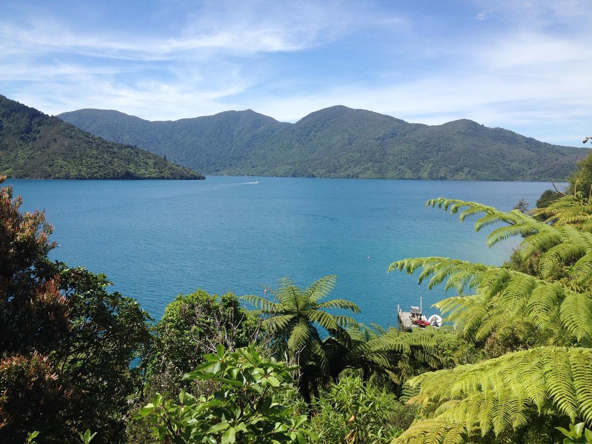 Punga Cove Endeavour Inlet