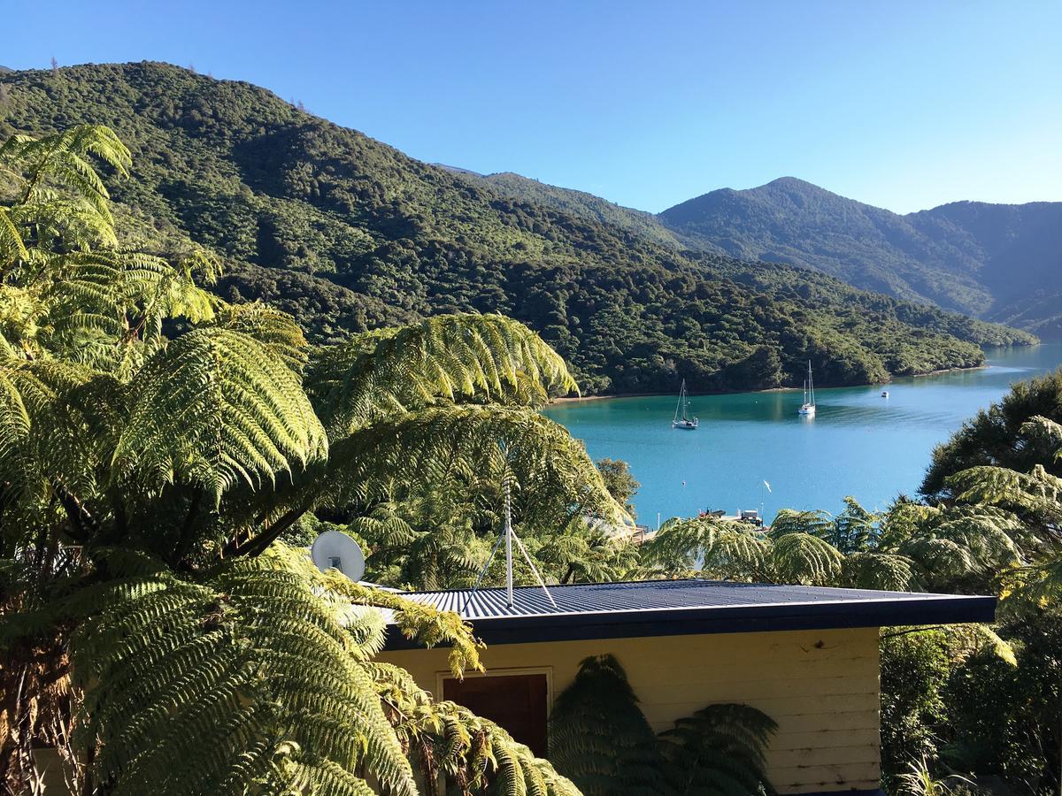 Punga Cove Resort 4*