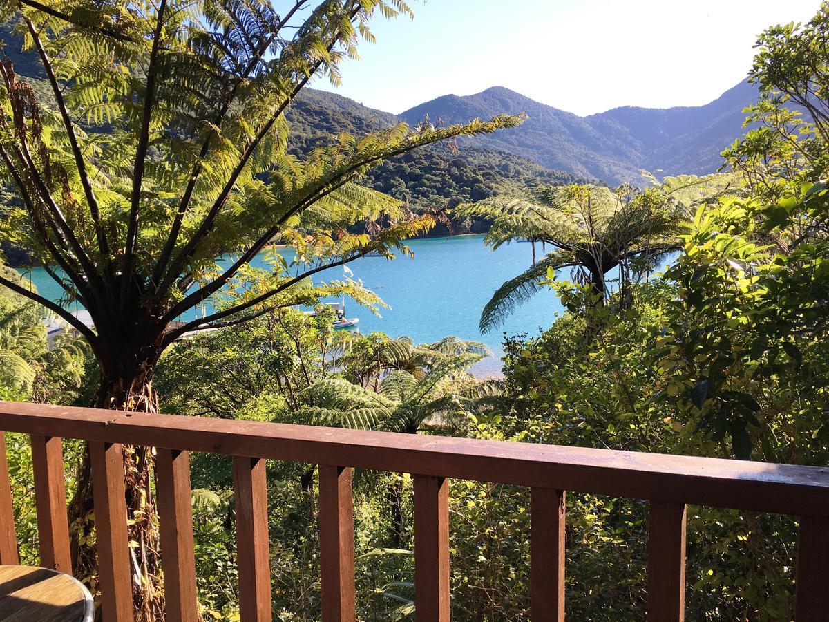 Punga Cove Resort