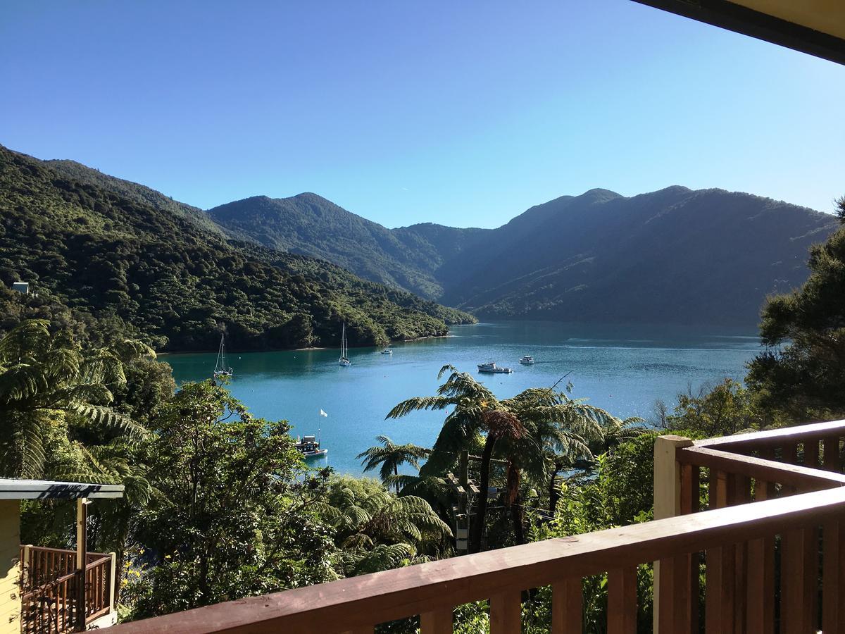 Punga Cove Endeavour Inlet